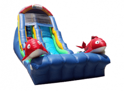 18' Rajun Cajun Water Slide